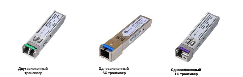 Sfp 2.jpg